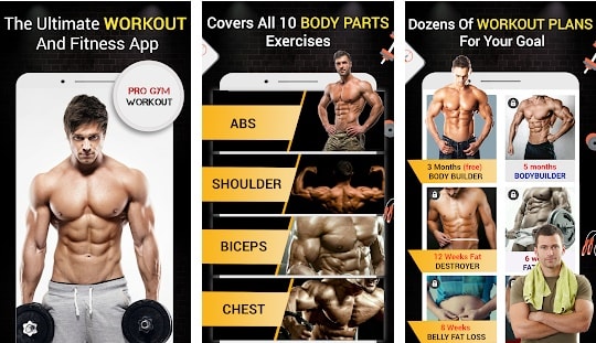 Pro Gym Workout Pro Gym Workout