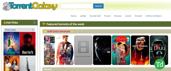 Torrent Galaxy Website